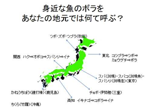 地域によって呼び名が違うボラ Cole